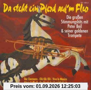 Da Steht Ein Pferd auf M Flur