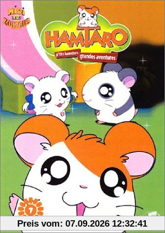 Hamtaro : Ptits hamsters, grandes aventures [FR Import]
