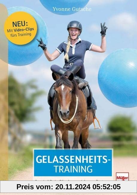 Gelassenheitstraining: So wird Dein Pferd zum sicheren Partner