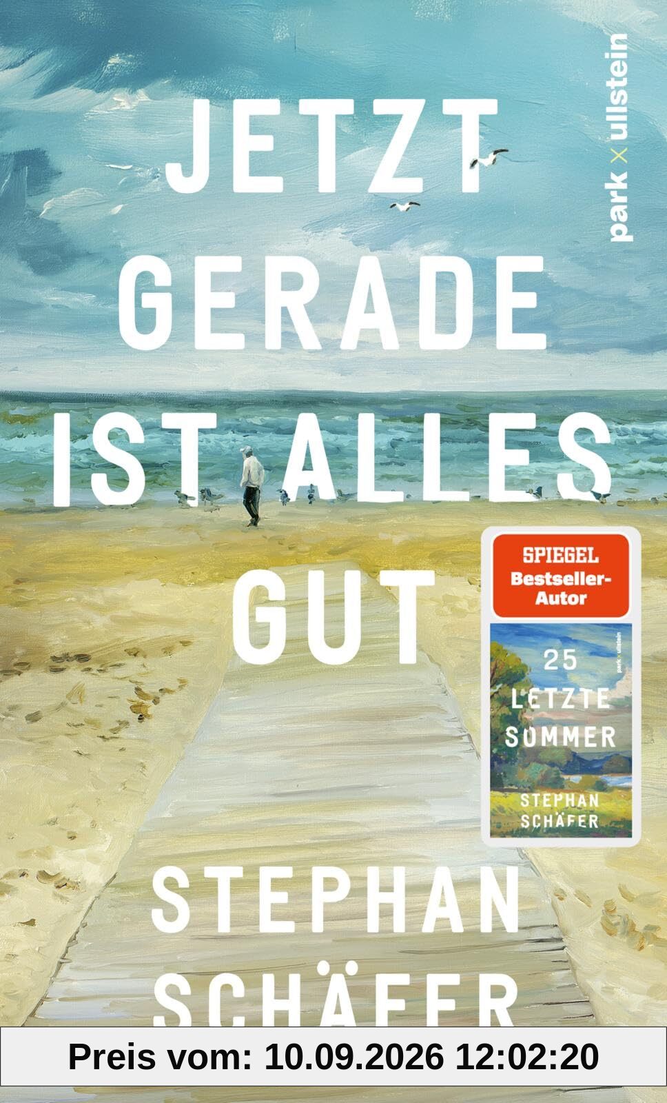 Jetzt gerade ist alles gut: Nach dem SPIEGEL-Bestseller 25 letzte Sommer - der neue Roman von Erfolgsautor Stephan Schäfer