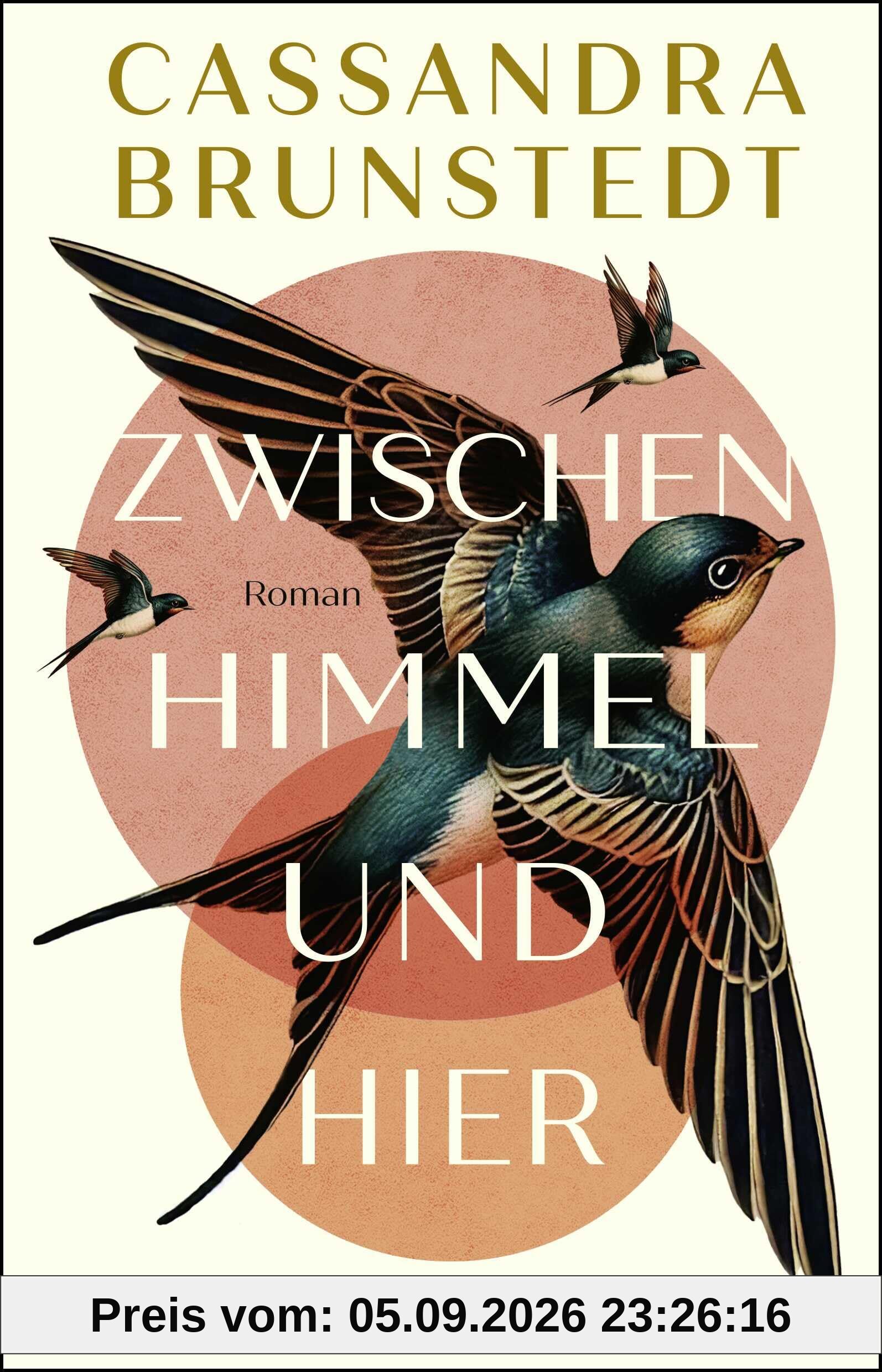Zwischen Himmel und hier