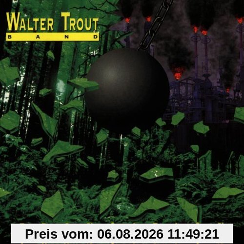 Trout, Walter & Band Transition