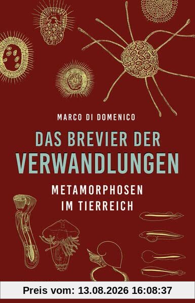 Das Brevier der Verwandlungen: Metamorphosen im Tierreich