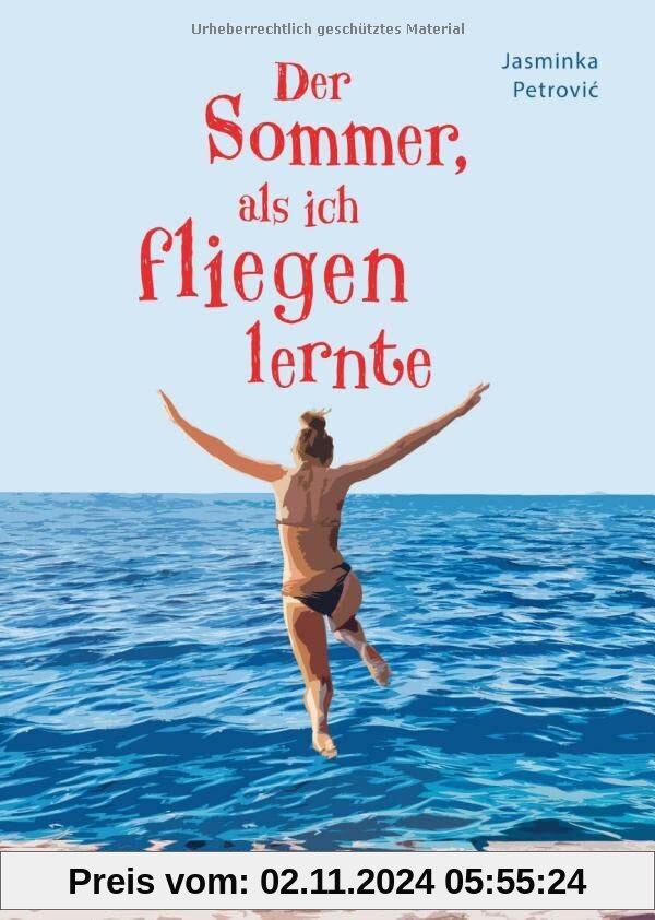 Der Sommer, als ich fliegen lernte