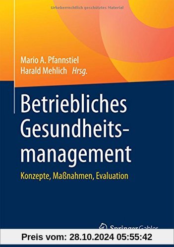 Betriebliches Gesundheitsmanagement: Konzepte, Maßnahmen, Evaluation