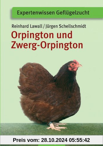 Orpington und Zwerg-Orpington