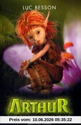 Arthur und die verbotene Stadt: Bd. 2