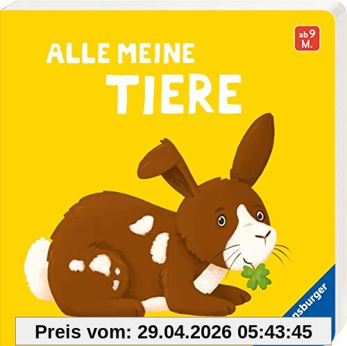 Alle meine Tiere: Mein erstes Bilderbuch