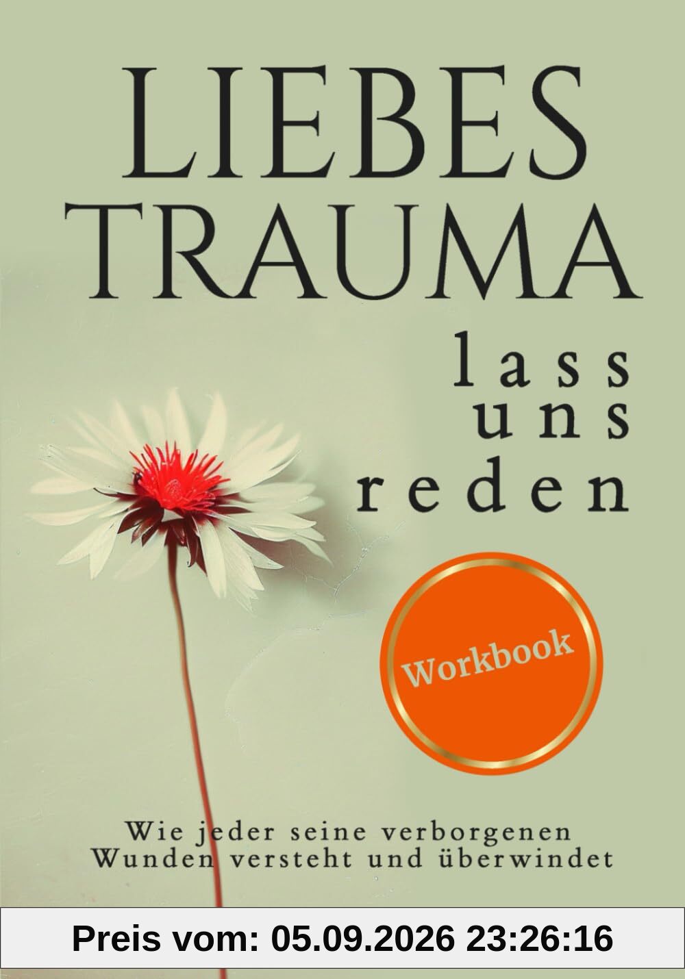 Liebes Trauma, lass uns reden – Das Workbook: Wie jeder seine verborgenen Wunden versteht und überwindet