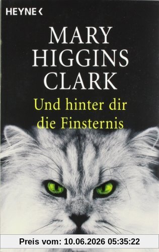 Und hinter dir die Finsternis: Roman