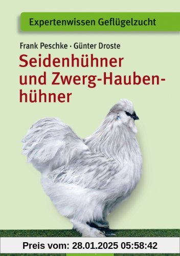 Seidenhühner und Zwerg-Haubenhühner: Apart - attrakktiv - liebenwert: Apart - attraktiv - liebenswert