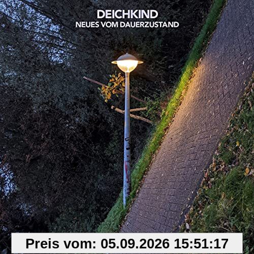 Neues Vom Dauerzustand (2LP) [Vinyl LP]