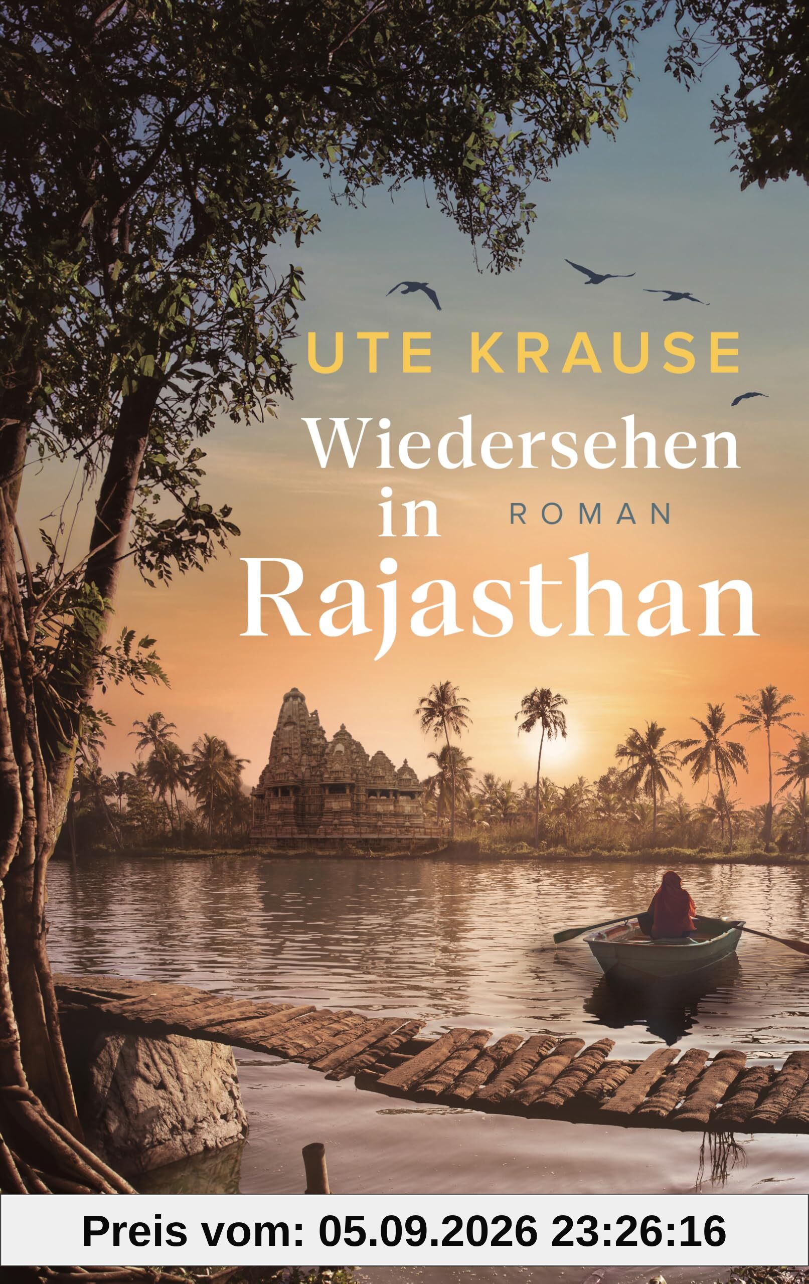 Wiedersehen in Rajasthan: Roman