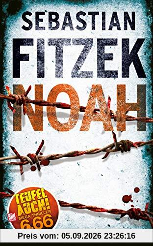 NOAH (BILD am Sonntag Thriller 2019)