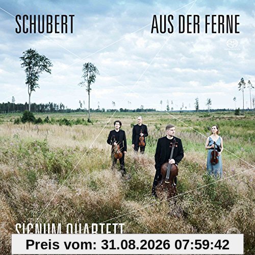 Aus der Ferne