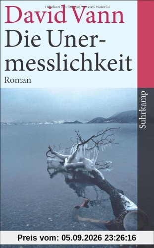 Die Unermesslichkeit: Roman (suhrkamp taschenbuch)