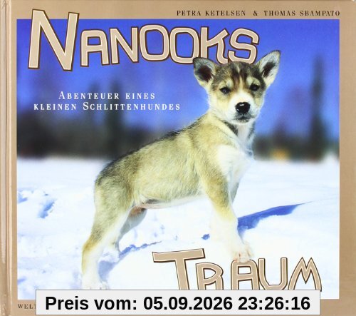 Nanooks Traum