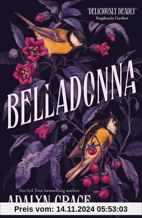 Belladonna: bestselling gothic fantasy romance