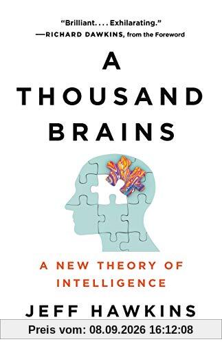 A Thousand Brains: A New Theory of Intelligence
