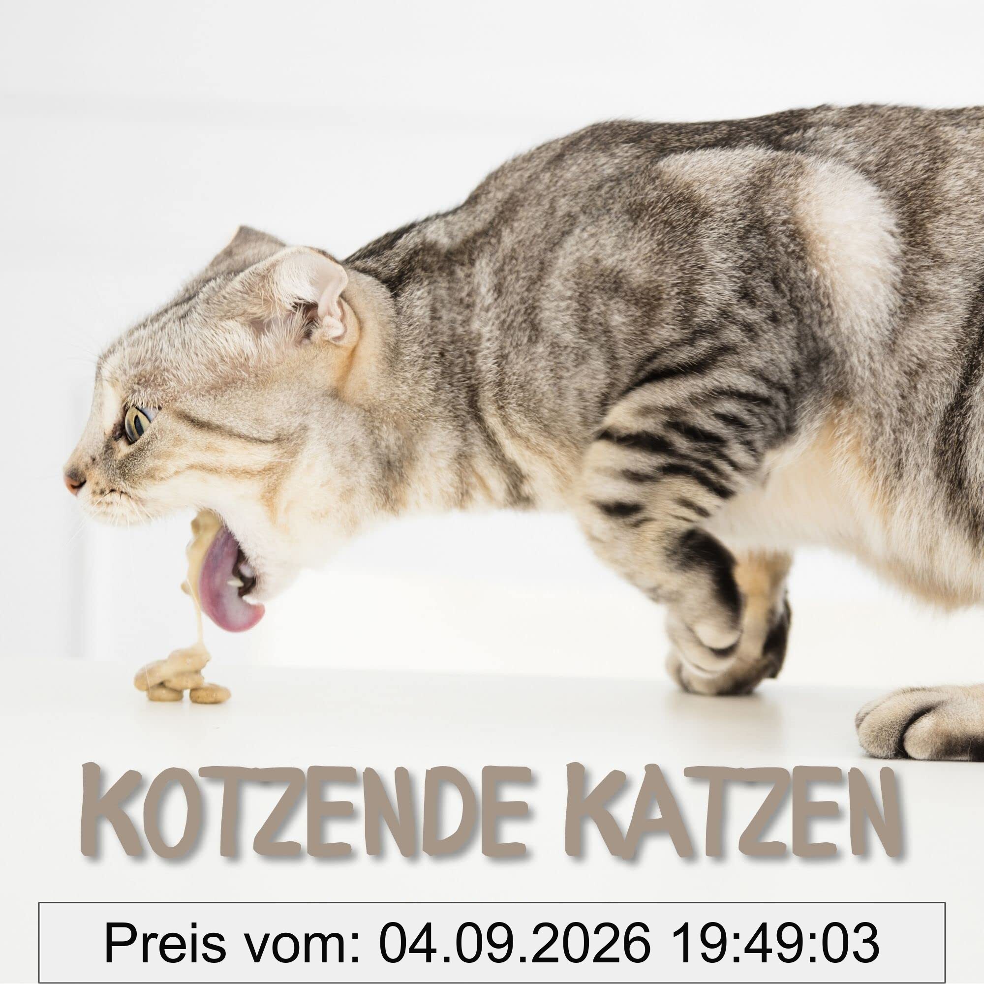 Kotzende Katzen: Ein Bildband