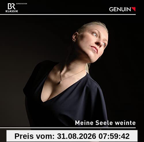 Meine Seele weinte - Lieder