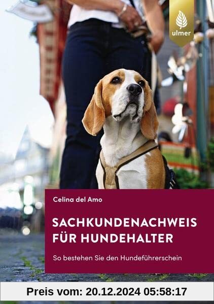 Sachkundenachweis für Hundehalter: So bestehen Sie den Hundeführerschein