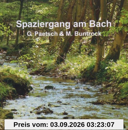 Spaziergang am Bach