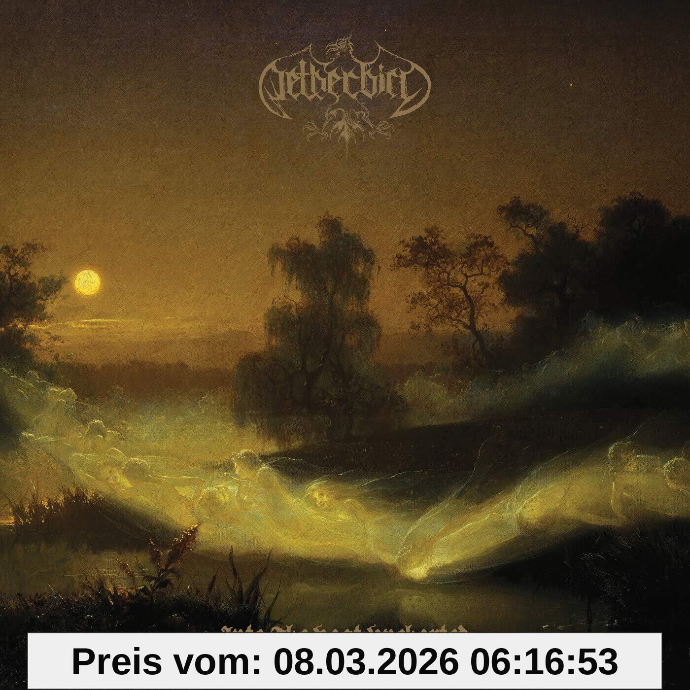 unbekannt Into The Vast Uncharted