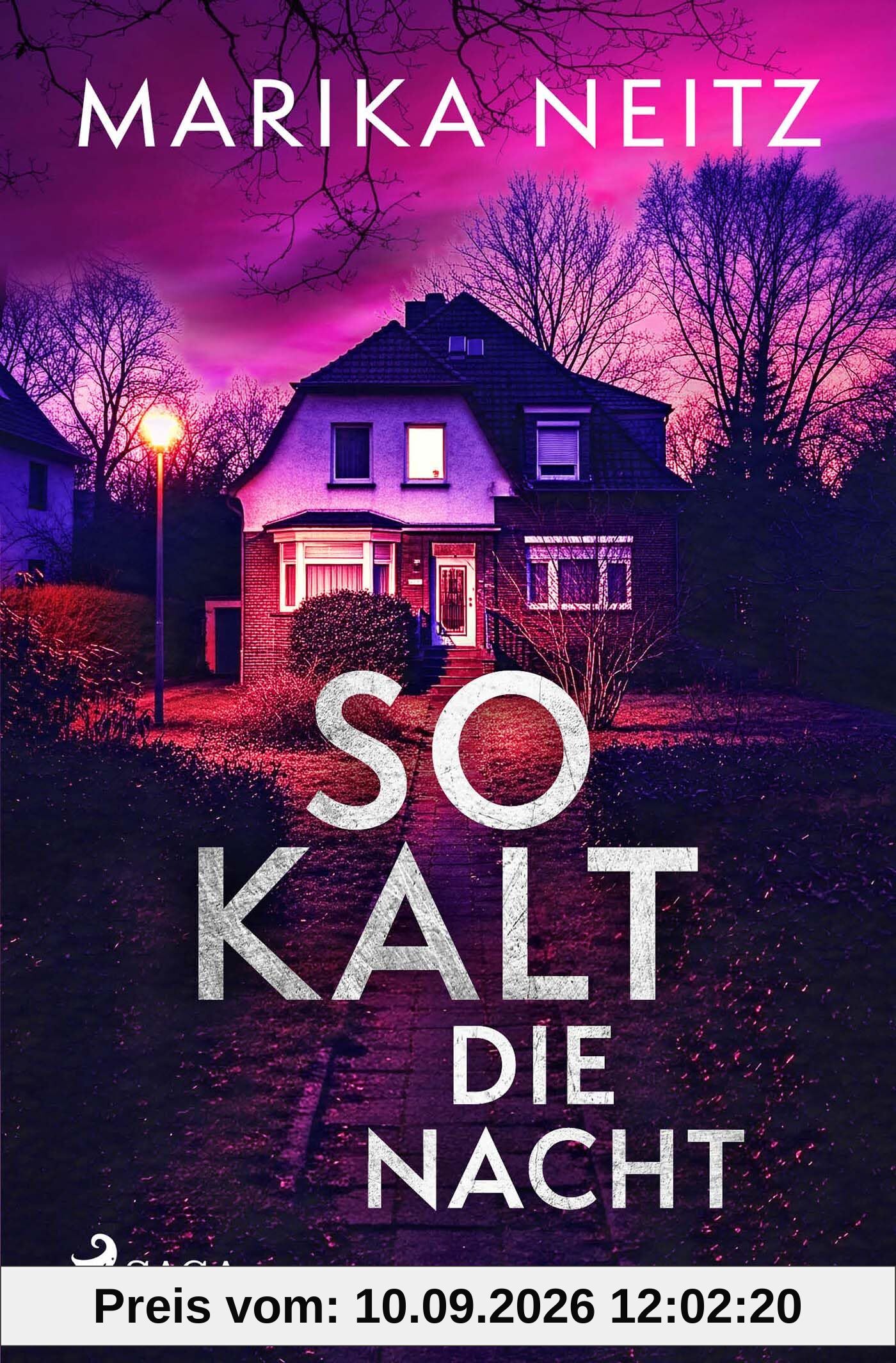 So kalt die Nacht: Spannender Krimi voller Geheimnisse und menschlicher Abgründe (Die Fahndung)