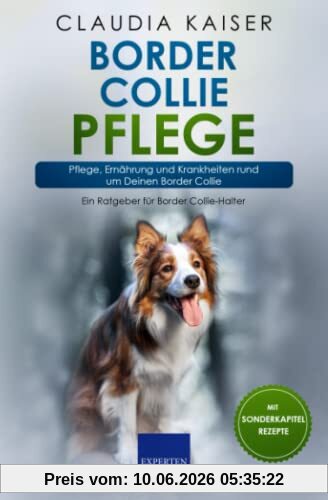 Border Collie Pflege: Pflege, Ernährung und Krankheiten rund um Deinen Border Collie