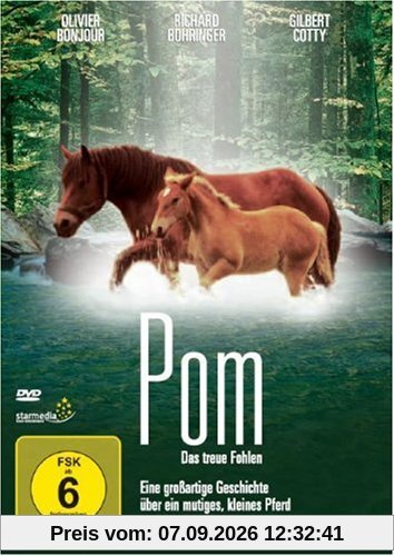 Pom - Das treue Fohlen