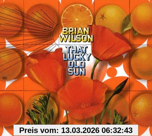 Brian Wilson That Lucky Old Sun-Ltd (Cd+Dvd)