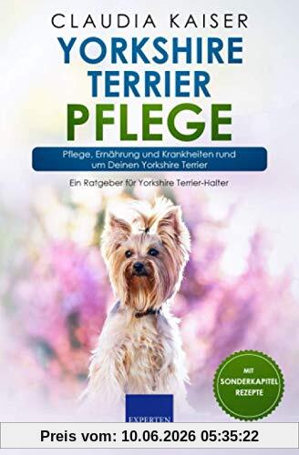 Yorkshire Terrier Pflege: Pflege, Ernährung und Krankheiten rund um Deinen Yorkshire Terrier