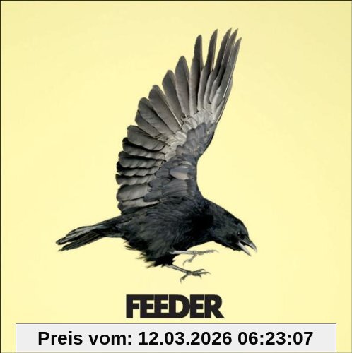 Feeder Silent Cry
