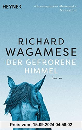 Der gefrorene Himmel: Roman