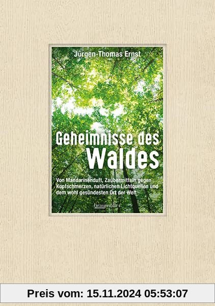 Geheimnisse des Waldes: Von Mandarinenduft, Zaubermitteln gegen Kopfschmerzen, natürlichen Lichtquellen und dem wohl ges