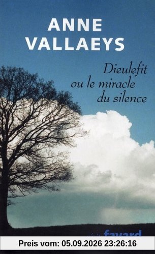 Dieulefit ou Le miracle du silence