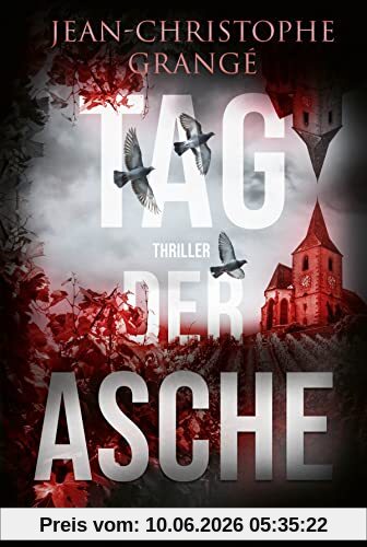Tag der Asche: Thriller