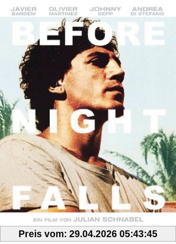 Before Night Falls