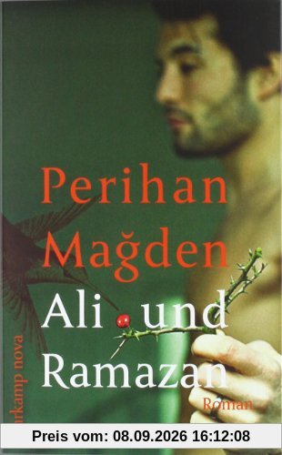 Ali und Ramazan: Roman (suhrkamp taschenbuch)