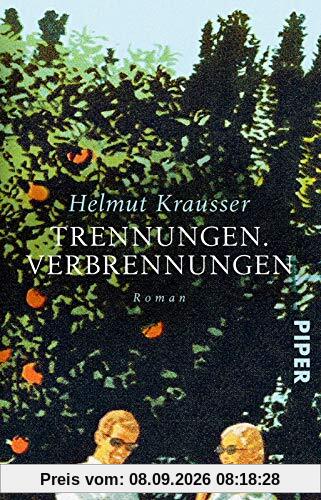 Trennungen. Verbrennungen: Roman