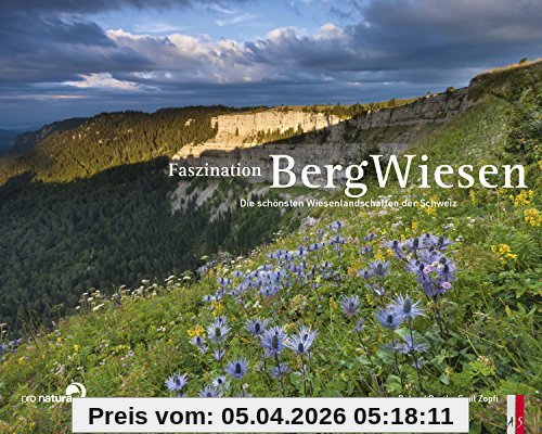 Faszination Bergwiesen: Die schönsten Wiesenlandschaften der Schweiz