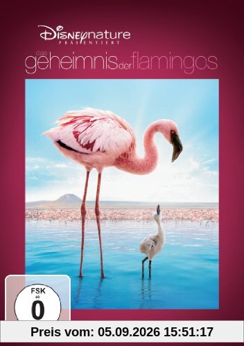 Das Geheimnis der Flamingos