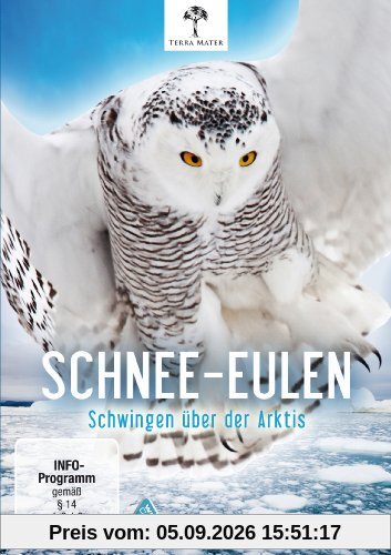 Schnee-Eulen - Schwingen über der Arktis