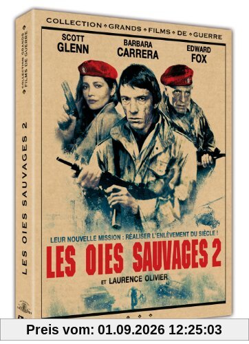 Oies Sauvages 2
