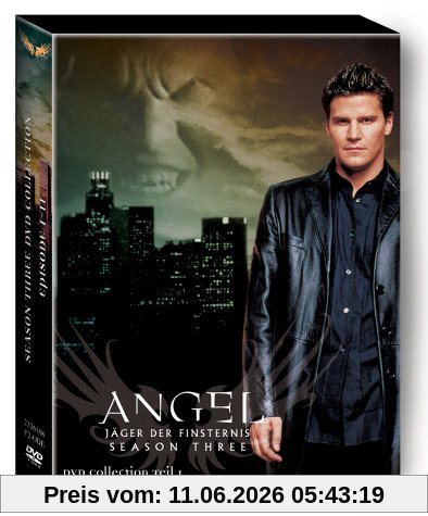 Angel - Jäger der Finsternis: Season 3.1 Collection [3 DVDs]