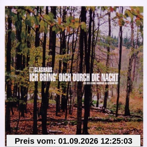 Ich Bring Dich Durch Die Nacht
