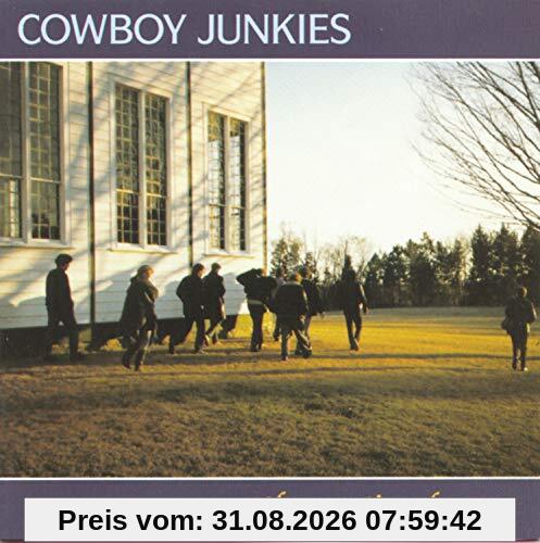 Caution Horses