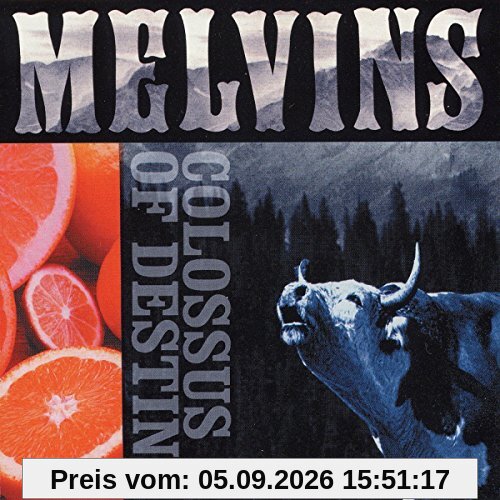 The Colossus Of Destiny