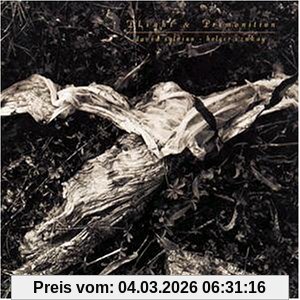 David Sylvian;Holger Czukay Plight And Premonition